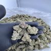 Blue Fanta strain For Sale