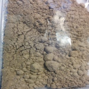 Buy monkey dust online with fast delivery