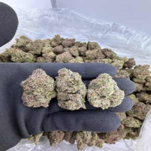 Order Crocodile Burberry strain near me