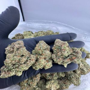 Order Grandi Guava strain near me