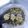 Order Mobil 1 strain near me