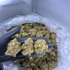 Order cherry stuntz strain near me