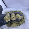 Order gas house gelato strain near me
