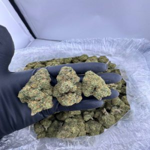 Order gas house gelato strain near me