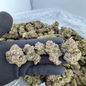 Order lemon cherry gelato strain near me
