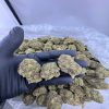black water runtz strain For Sale