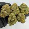 buy Bacio Gelato strain online